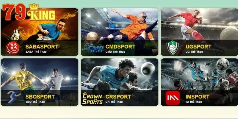 Giới thiệu sảnh thể thao hấp dẫn cho bạn